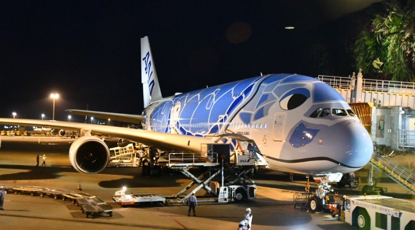 ANA A380