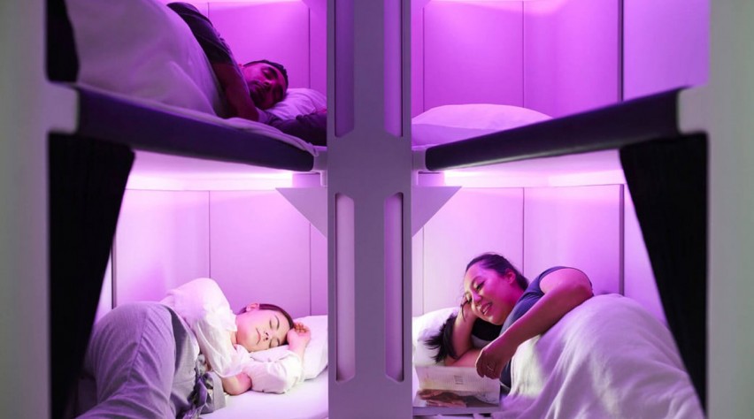 Air New Zealand Skynest