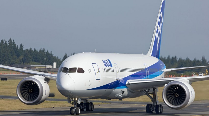 ANA 787