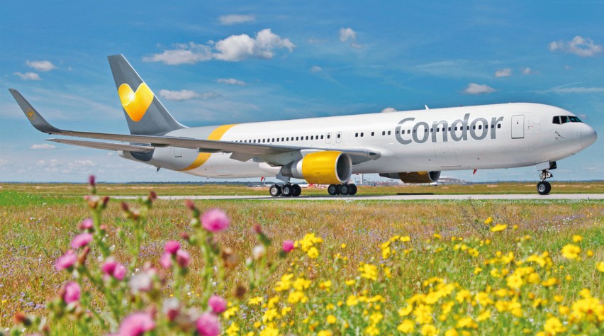 Condor Boeing 767