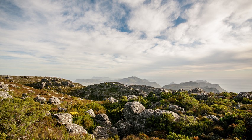 Foto (c) Unsplash