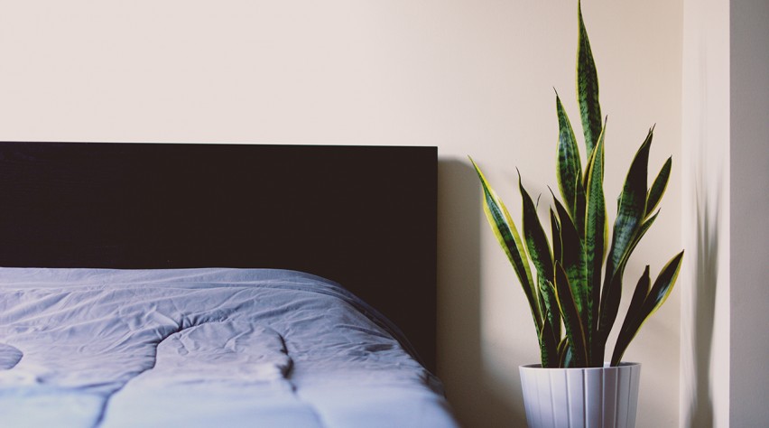 Foto (c) Unsplash