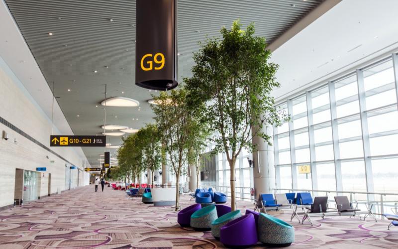 Foto (c) Singapore Changi Airport Singapore Changi Airport