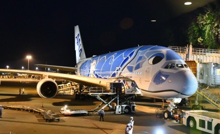 ANA A380