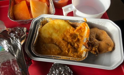 Kakkerlak in maaltijd