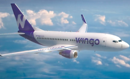 Wingo