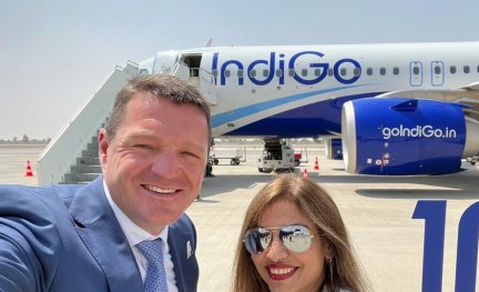 Indigo Elbers